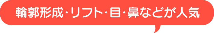 輪郭整形・リフト・目・鼻などが人気